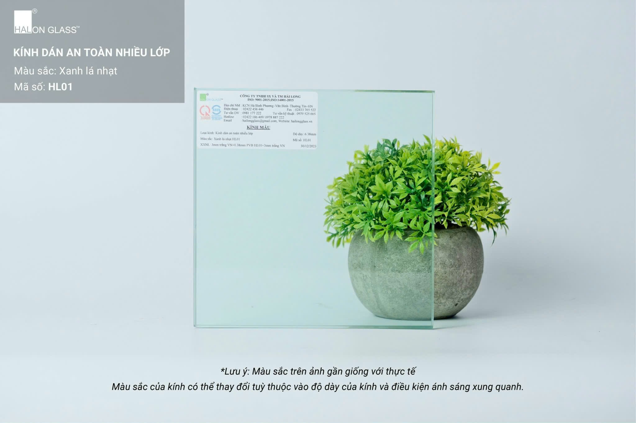Tấm kính dán an toàn nhiều lớp màu xanh lá nhạt Halon Glass đặt trước chậu cây trang trí