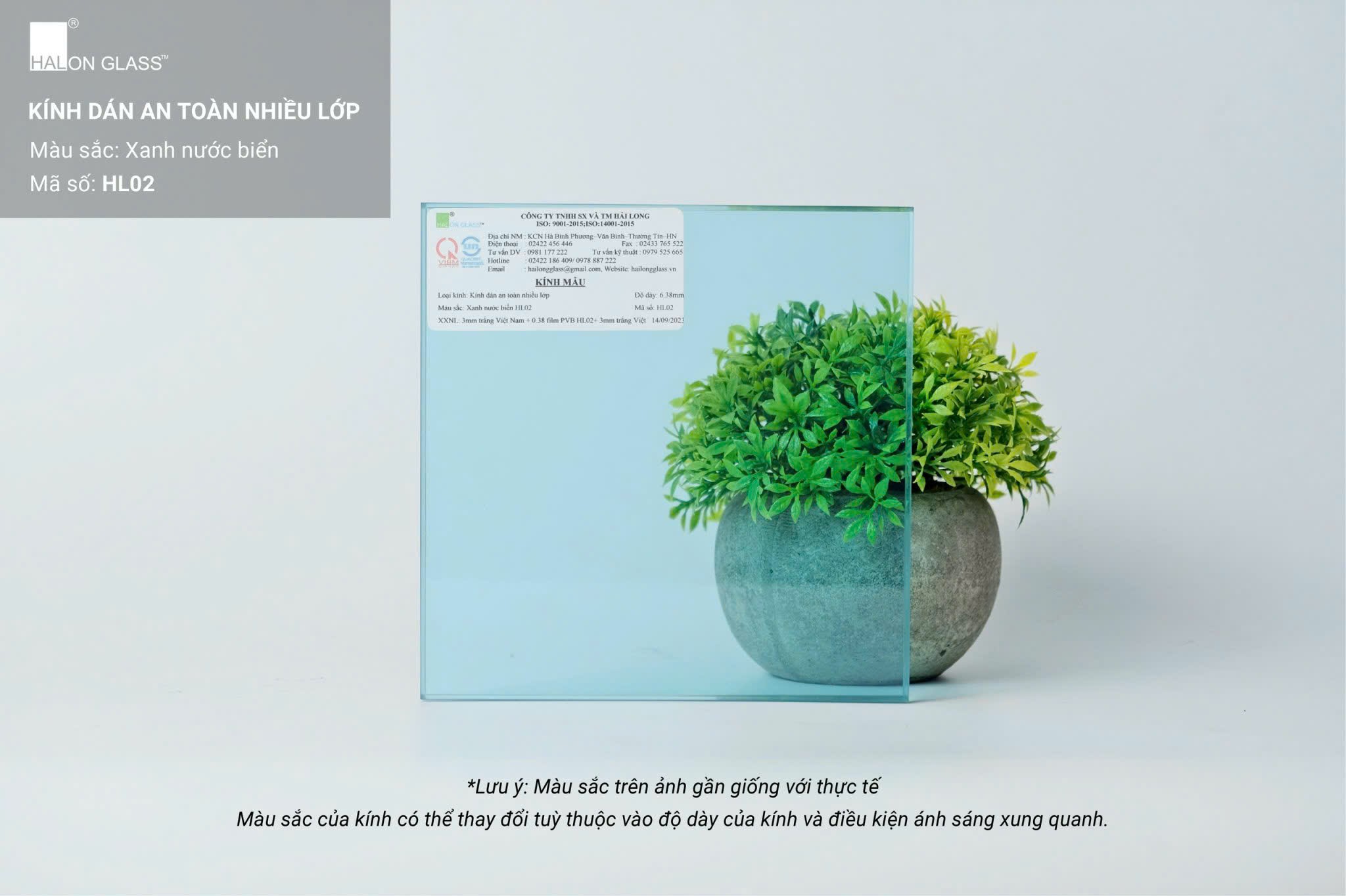 Kính dán an toàn nhiều lớp Halon Glass màu xanh nước biển đặt trước chậu cây trang trí