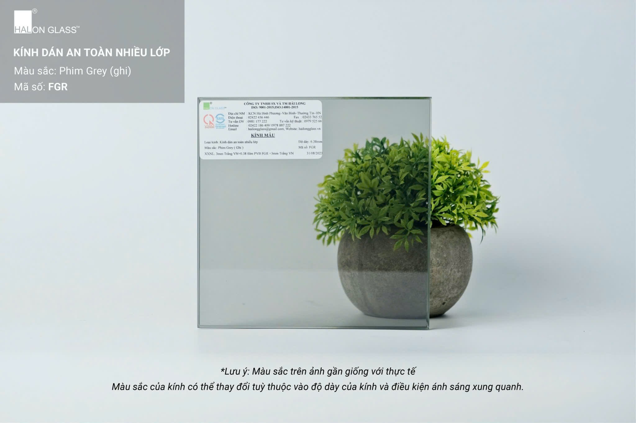 Kính dán an toàn nhiều lớp Halon Glass màu phim grey đặt trước chậu cây trang trí