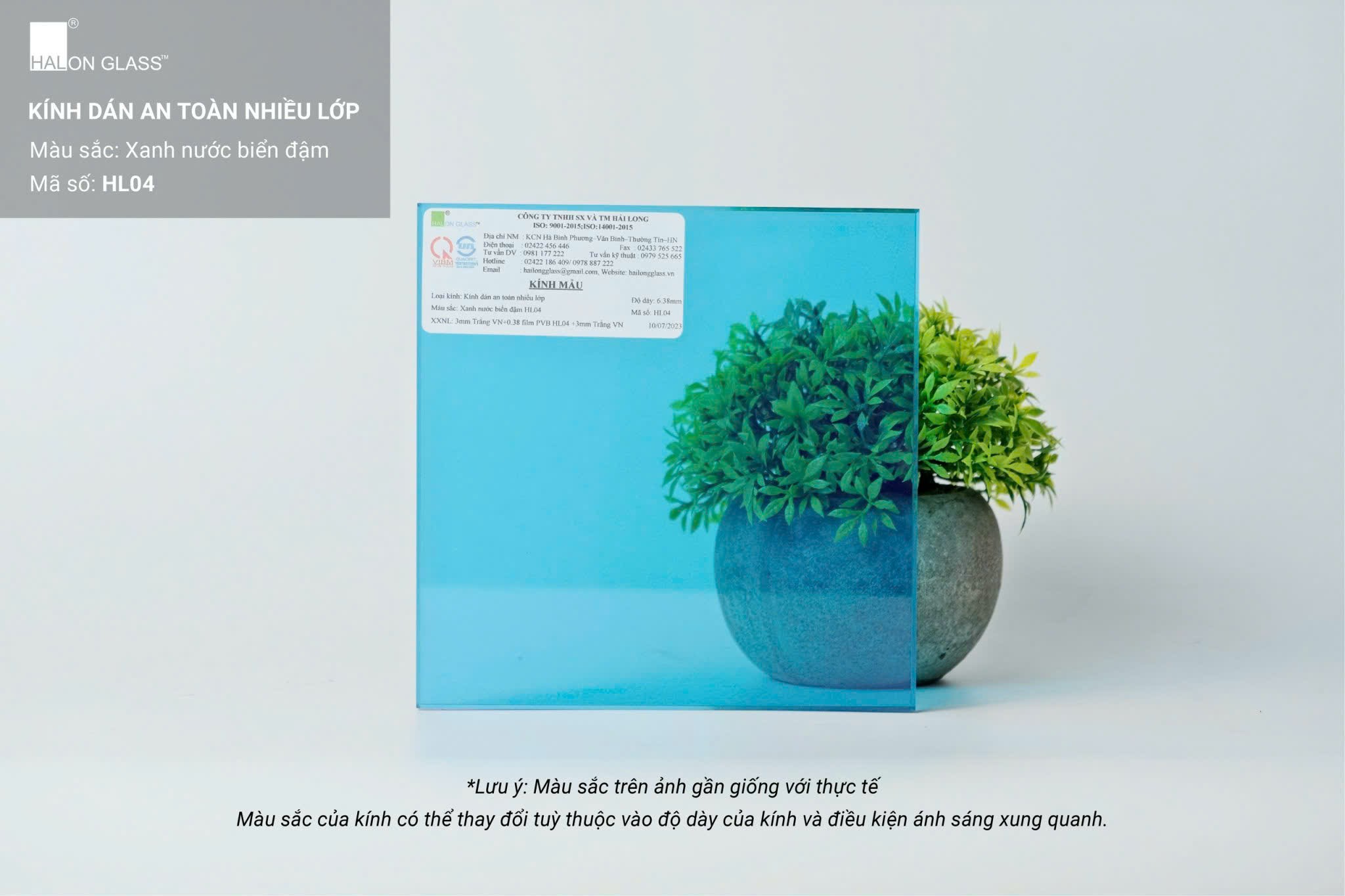Kính dán an toàn nhiều lớp Halon Glass màu xanh nước biển đậm mã HL04 đặt trước chậu cây xanh