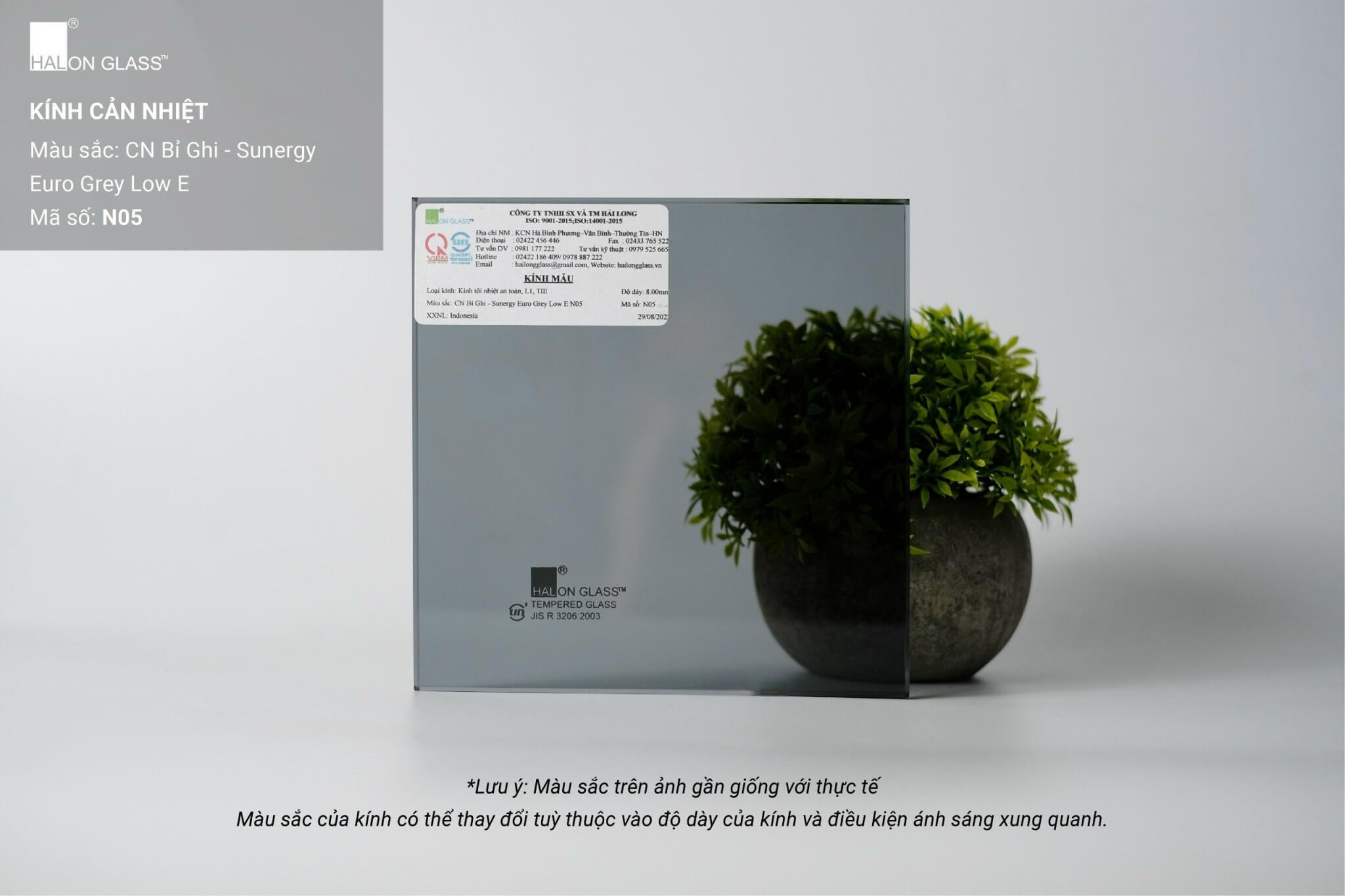 Kính cản nhiệt Halon Glass màu xám Euro Grey Low E mã N05 đặt trước chậu cây trang trí